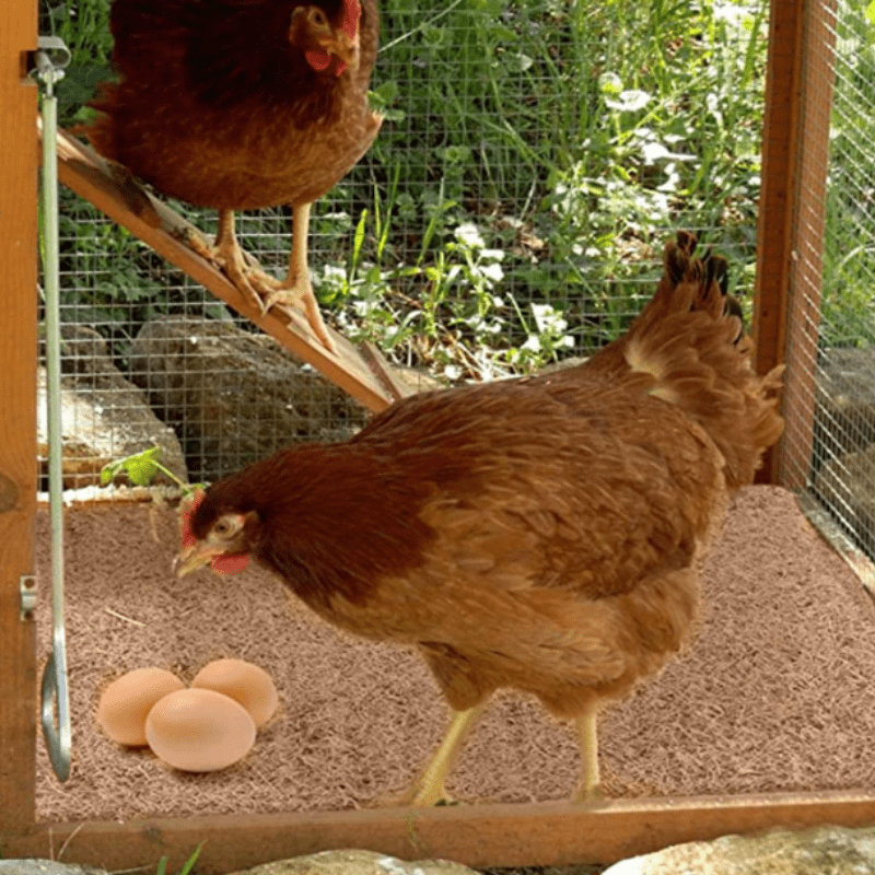 Jardioui 1 Coussins (29.90 €/ pcs) Coussins de Nidification pour Pondoir Poulailler