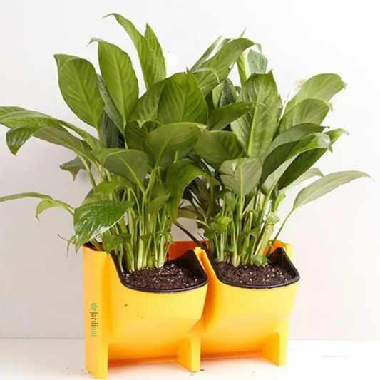 Jardinière verticale auto-arrosante (1 pièce)