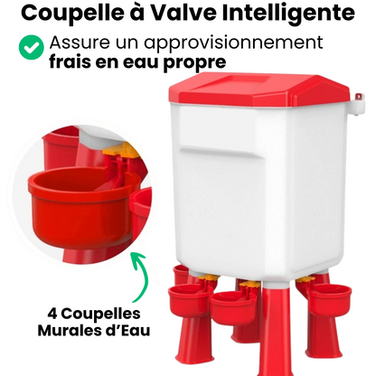 Mangeoire et Abreuvoir Poule Automatique