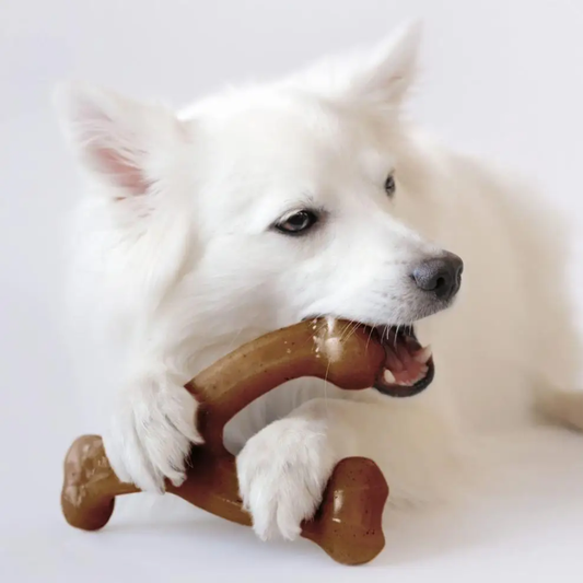 Jardioui 1 Jouet (24.90 €/ pcs) Jouet à Mâcher Ultra-Robuste pour Chien