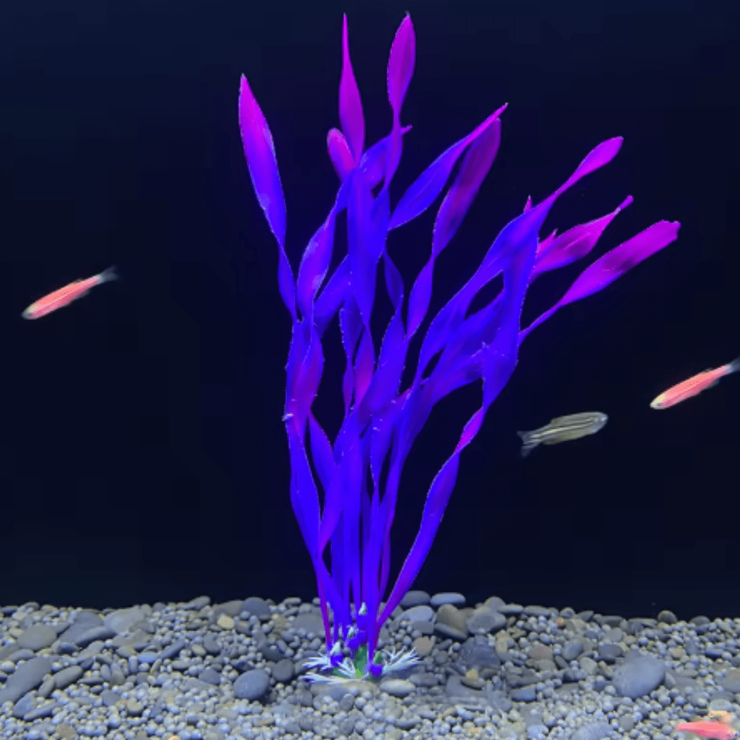 Jardioui B Plante Artificielle d'Aquarium Colorée