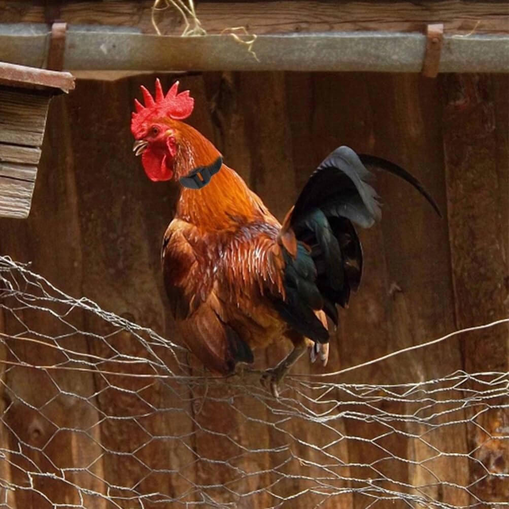 Jardioui Collier Anti-Cri Réglable pour Poulets
