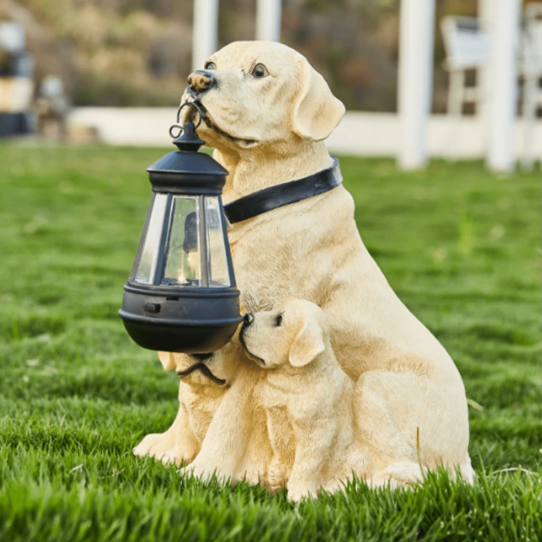 Jardioui Labrador Lampe Chien Solaire Éblouissant