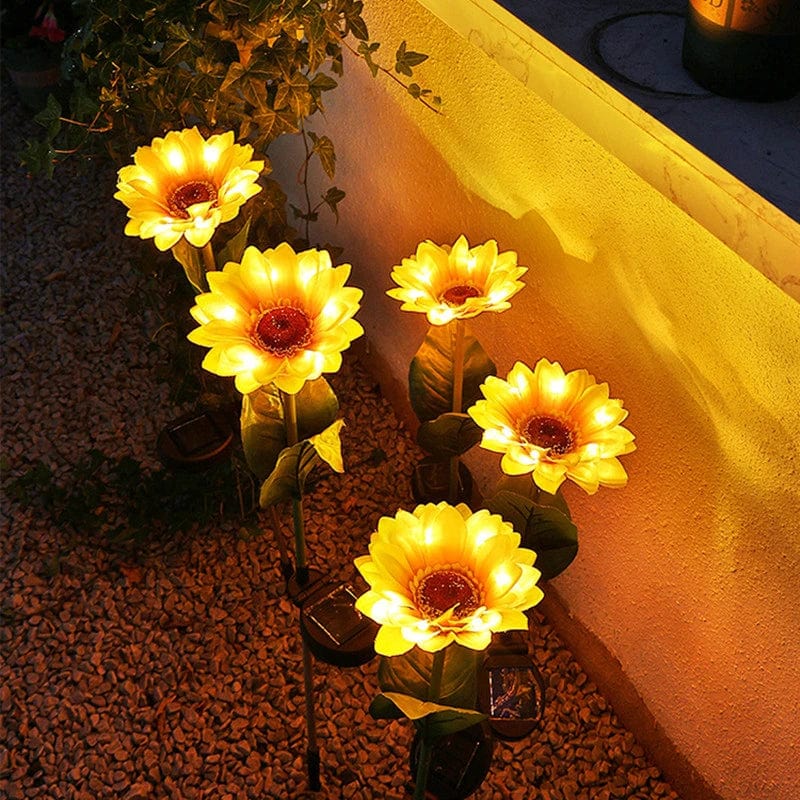 Jardioui Lumière Solaire Enchanteresse Tournesol