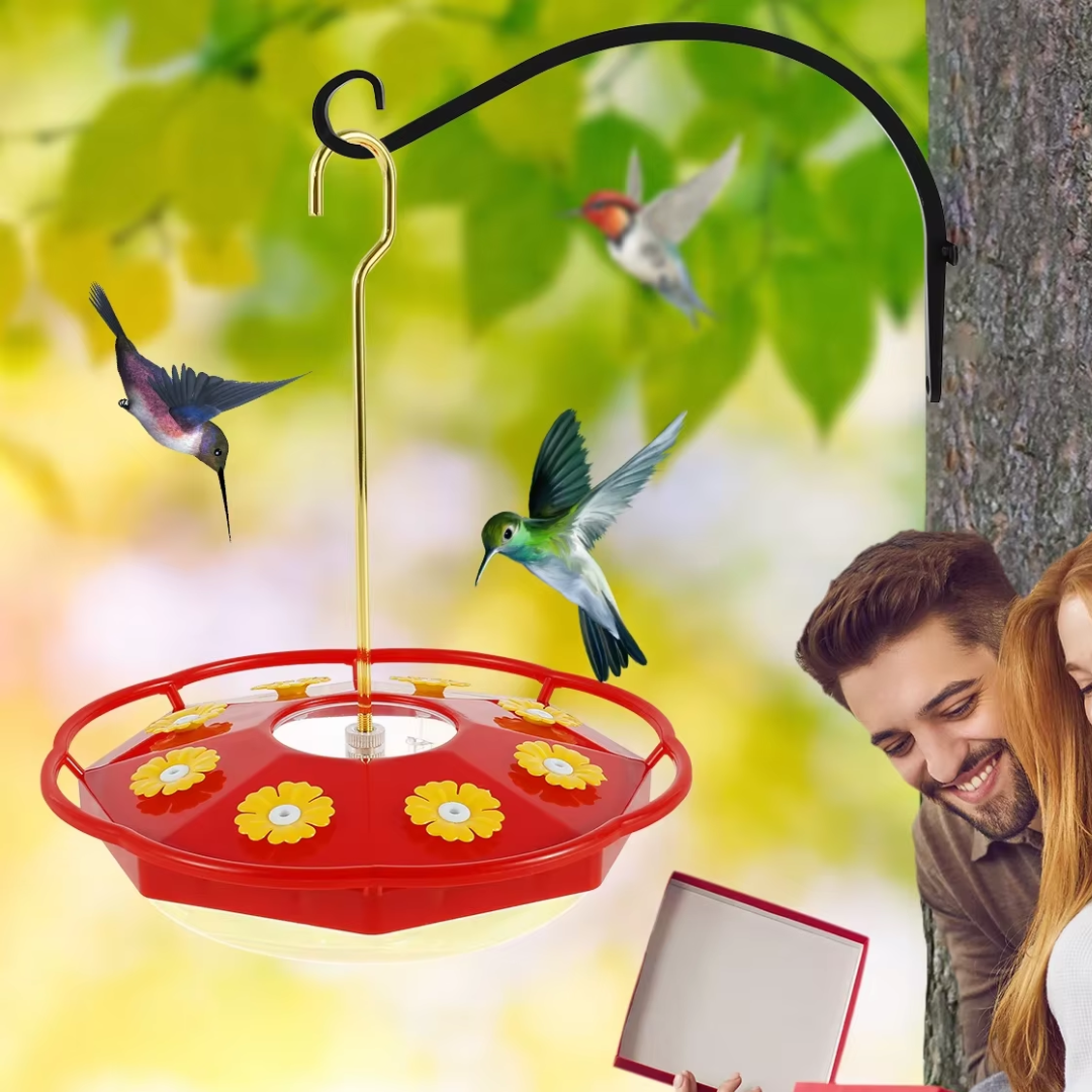 Jardioui Mangeoire Colibri Multi-Port Transparente