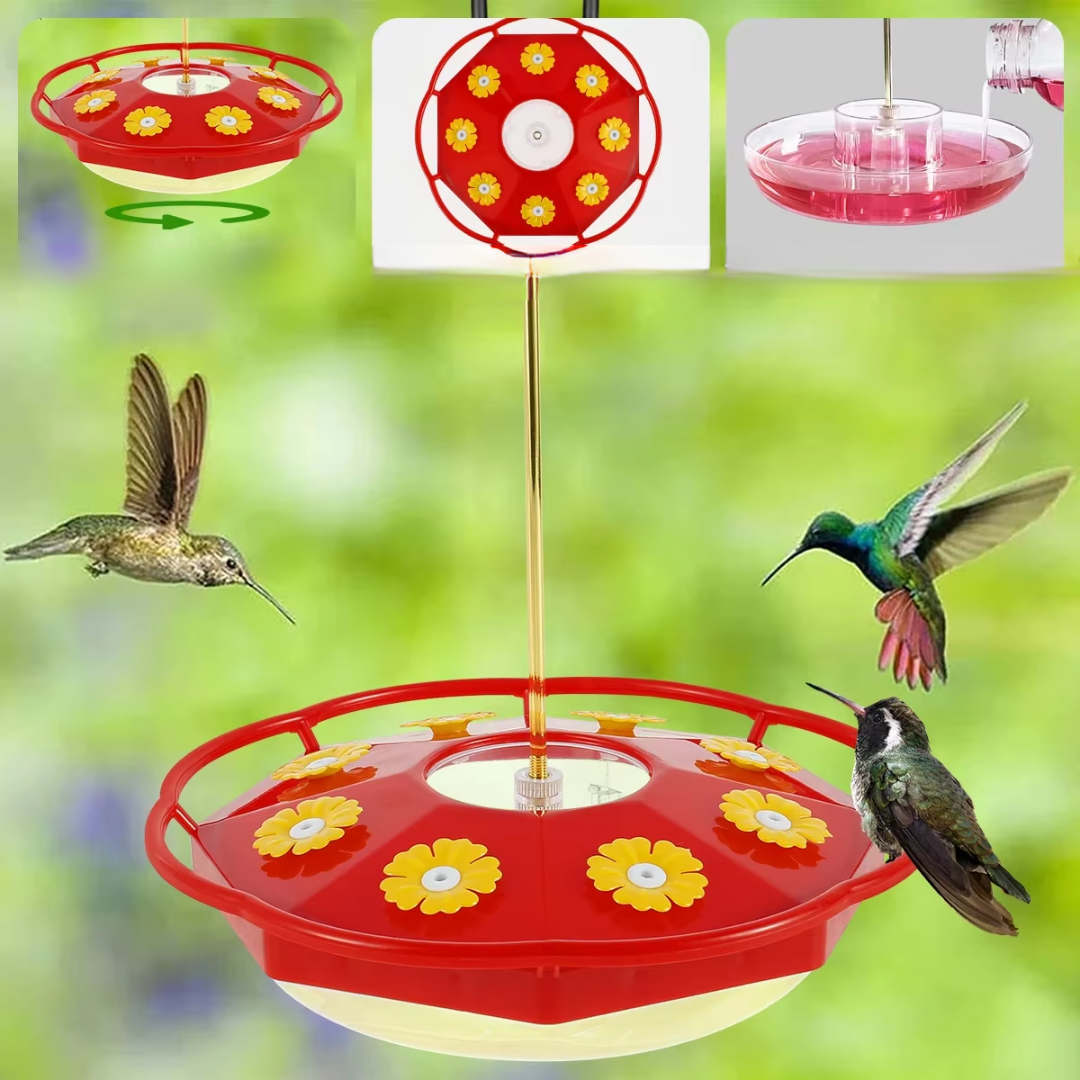 Jardioui Mangeoire Colibri Multi-Port Transparente