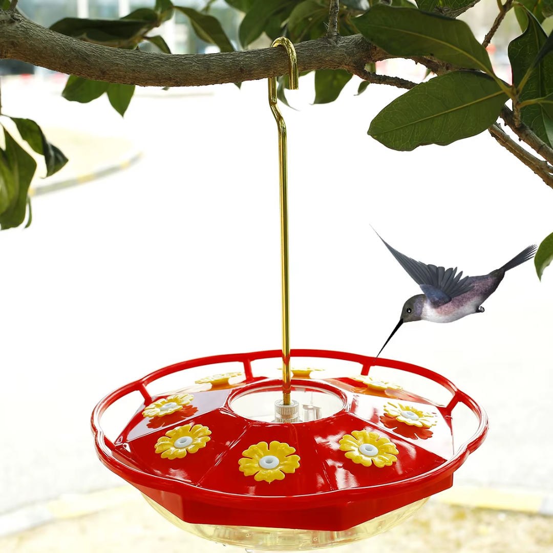 Jardioui Mangeoire Colibri Multi-Port Transparente