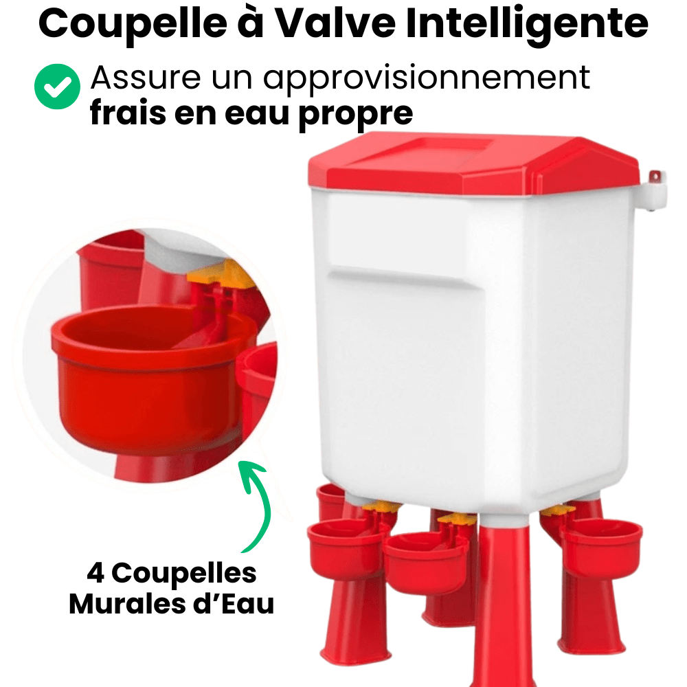 Jardioui Mangeoire et Abreuvoir Poule Automatique