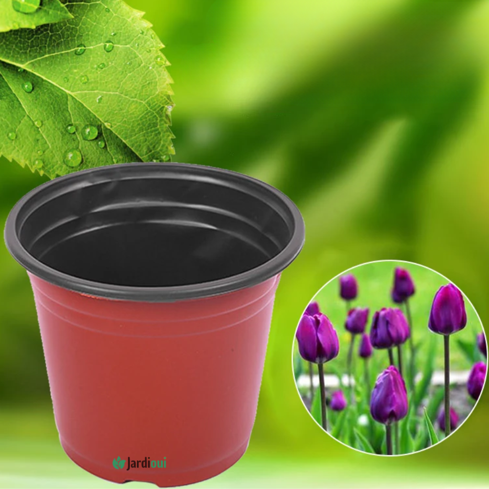 Jardioui Pot de Fleur Plastique Réutilisable
